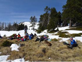 photo coins arrondis